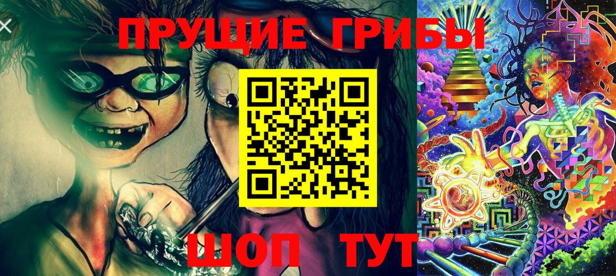 Галлюциногенные грибы Psilocybe Минеральные Воды